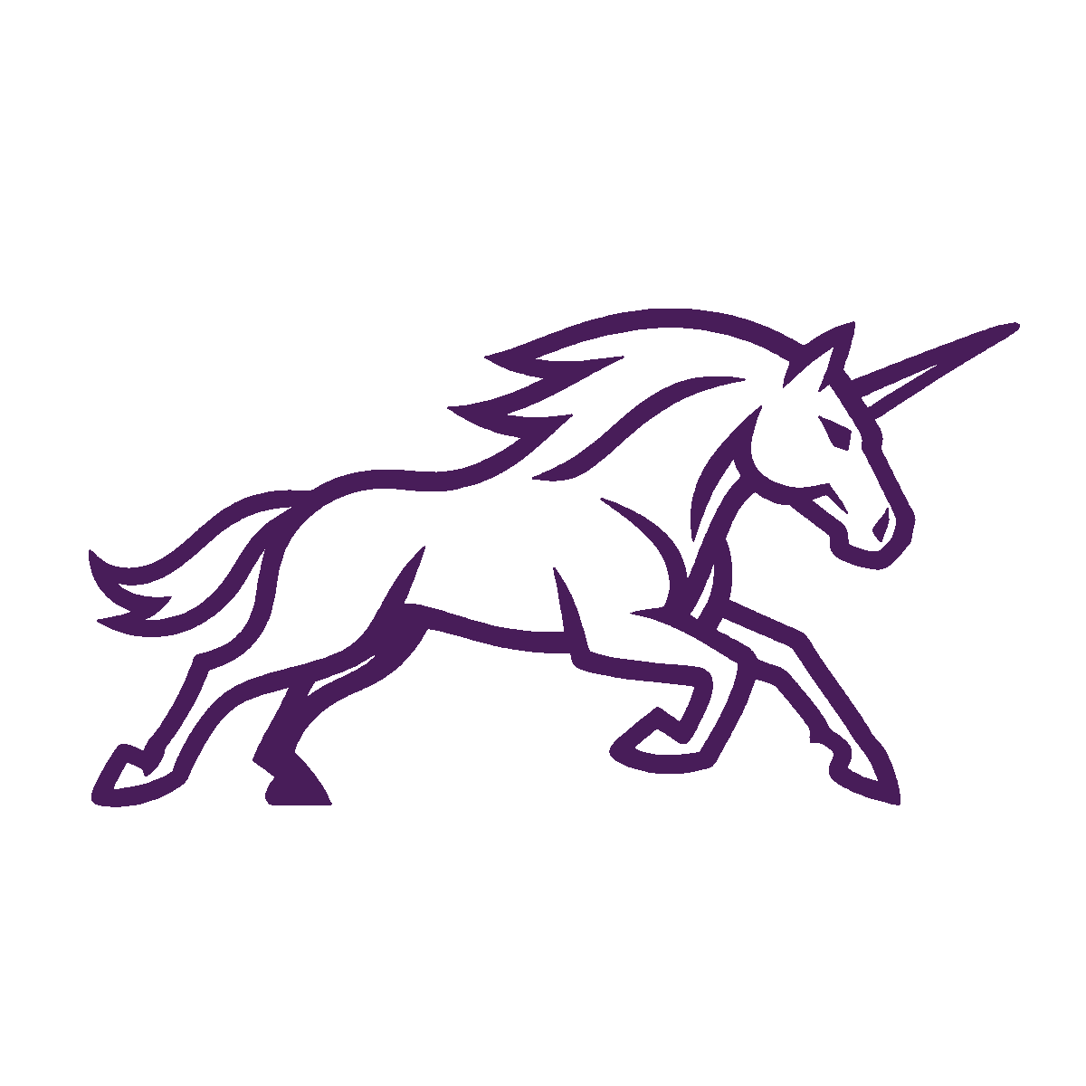 The Product Unicorn